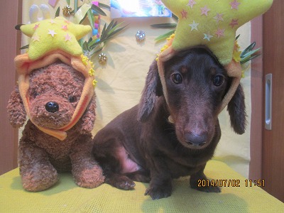 ファイル 7529-2.jpg