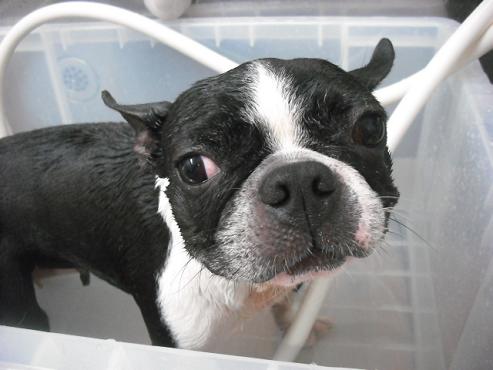 ファイル 753-2.jpg