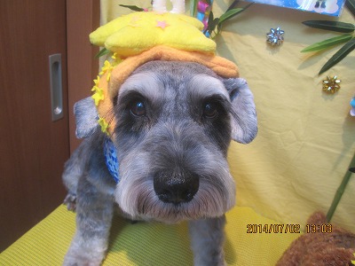 ファイル 7530-1.jpg