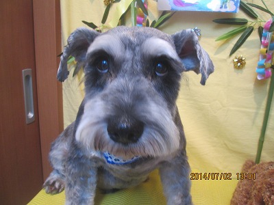 ファイル 7530-2.jpg