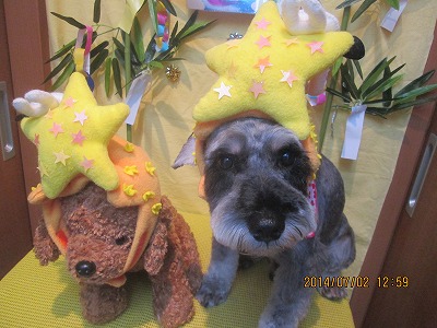 ファイル 7531-1.jpg