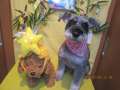 ファイル 7531-2.jpg