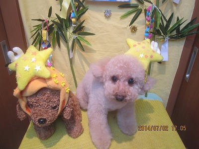 ファイル 7532-2.jpg