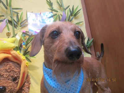 ファイル 7533-2.jpg