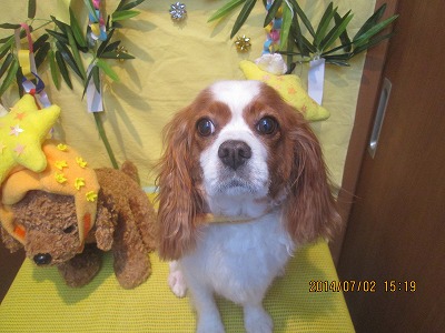 ファイル 7534-1.jpg