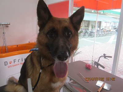 ファイル 7536-2.jpg