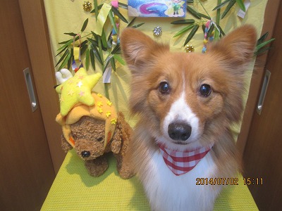 ファイル 7537-2.jpg