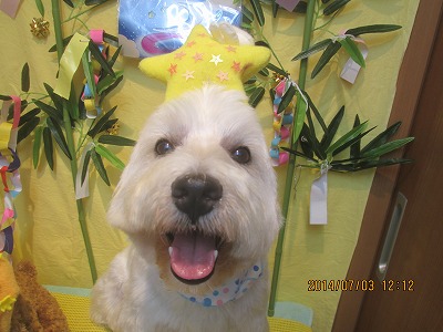 ファイル 7539-2.jpg