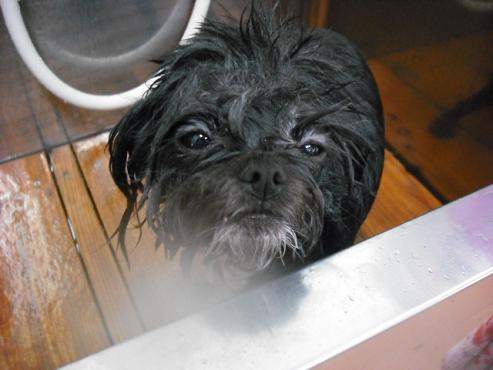 ファイル 754-2.jpg