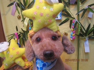 ファイル 7540-1.jpg