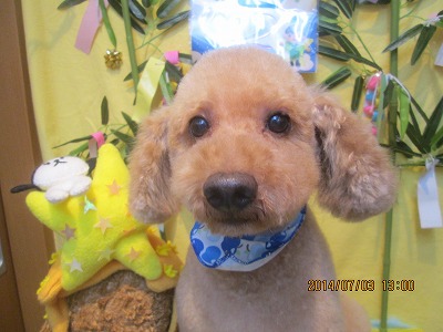 ファイル 7540-2.jpg