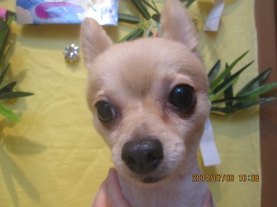 ファイル 7541-2.jpg