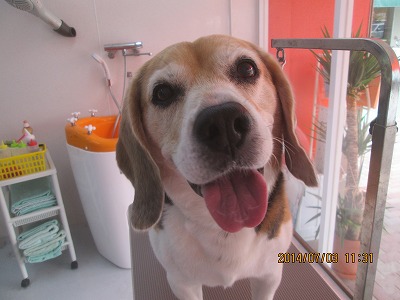 ファイル 7542-1.jpg