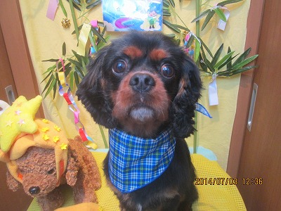 ファイル 7543-2.jpg