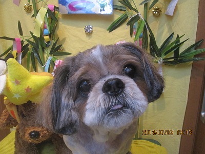 ファイル 7544-2.jpg