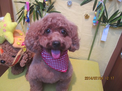 ファイル 7545-2.jpg