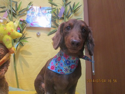 ファイル 7546-2.jpg