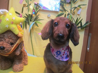 ファイル 7547-2.jpg