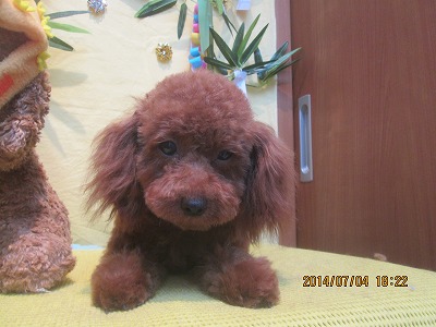 ファイル 7548-2.jpg