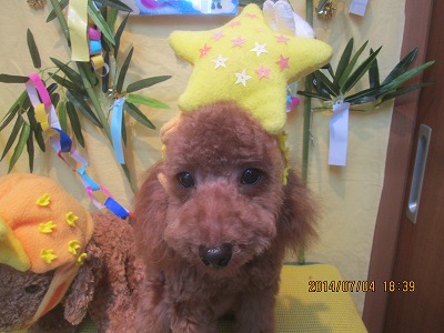 ファイル 7549-2.jpg