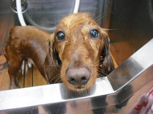 ファイル 755-2.jpg