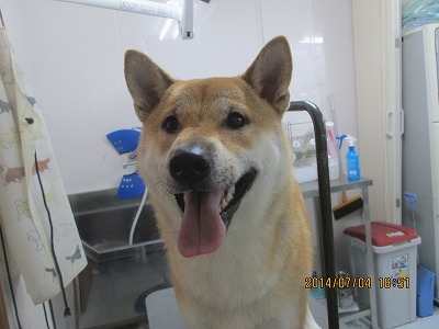 ファイル 7550-2.jpg