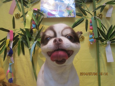 ファイル 7551-1.jpg