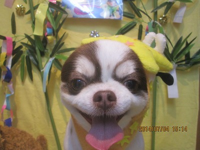 ファイル 7551-2.jpg