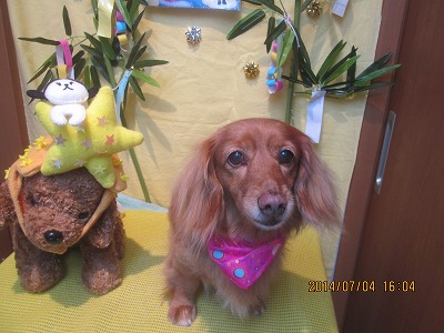 ファイル 7552-2.jpg