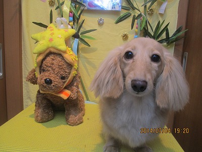 ファイル 7553-2.jpg