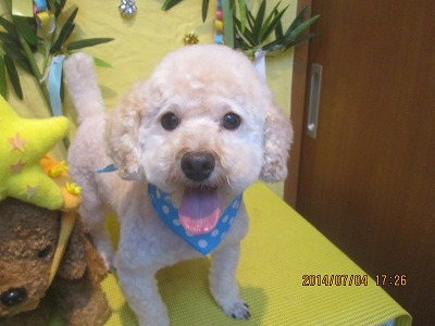 ファイル 7554-1.jpg