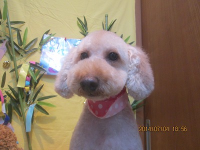 ファイル 7555-1.jpg