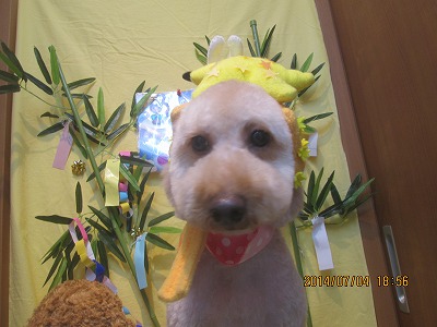 ファイル 7555-2.jpg