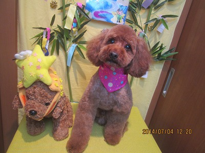 ファイル 7556-1.jpg