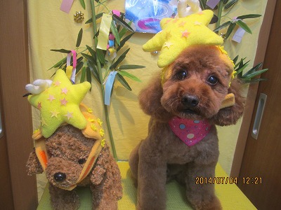 ファイル 7556-2.jpg