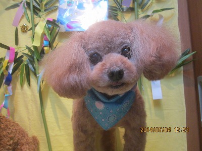 ファイル 7557-2.jpg