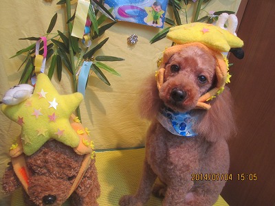 ファイル 7558-1.jpg