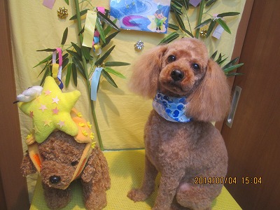 ファイル 7558-2.jpg