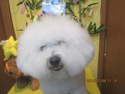 ファイル 7559-1.jpg