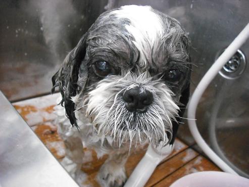 ファイル 756-2.jpg