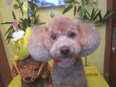 ファイル 7560-2.jpg