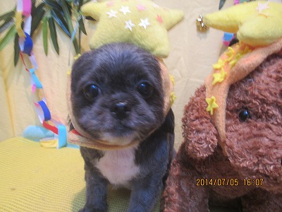 ファイル 7561-2.jpg