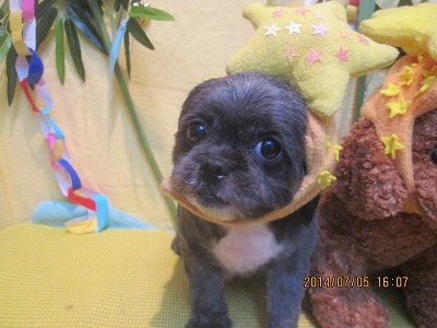 ファイル 7561-3.jpg