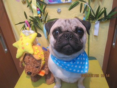 ファイル 7562-1.jpg