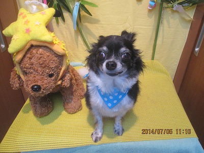 ファイル 7563-1.jpg