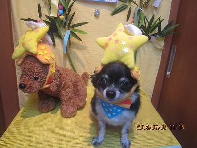 ファイル 7563-2.jpg