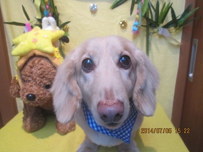 ファイル 7564-2.jpg