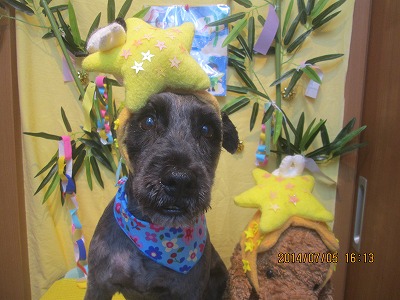 ファイル 7565-1.jpg