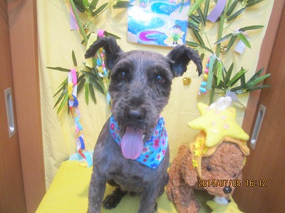 ファイル 7565-2.jpg