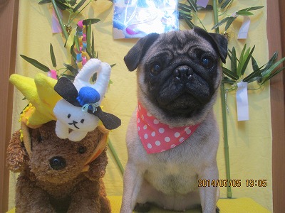 ファイル 7566-2.jpg